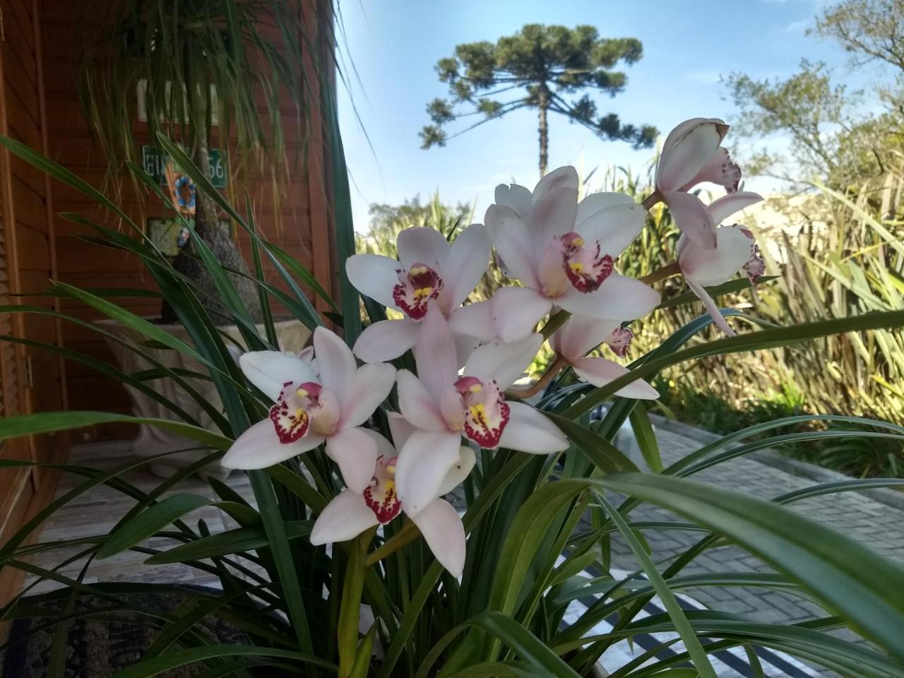 Willa Chale Rosa Canela Zewnętrze zdjęcie